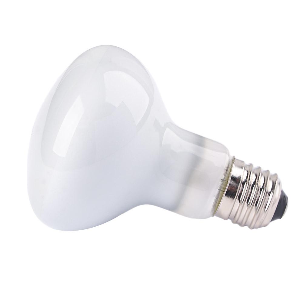 Basking Bulb Halogen - Lampe chauffante pour reptiles, contrôleur de