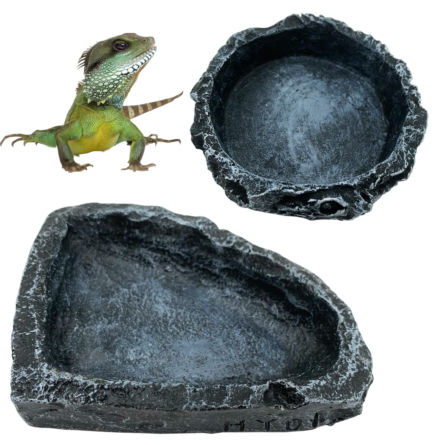 Water Dish Reptile - Lot de 2 bols d'alimentation d'angle