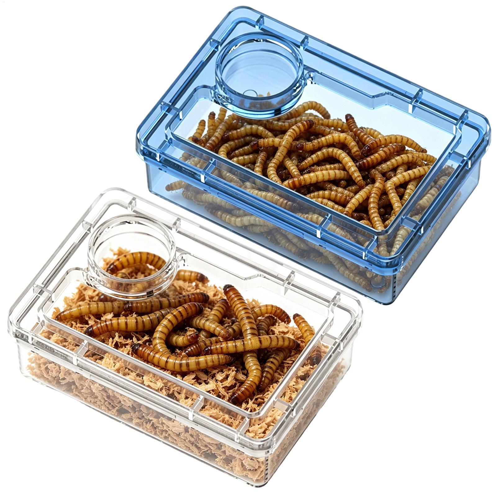 Calcium Powder Reptile - Bol d'alimentation anti-évasion pour reptiles avec
