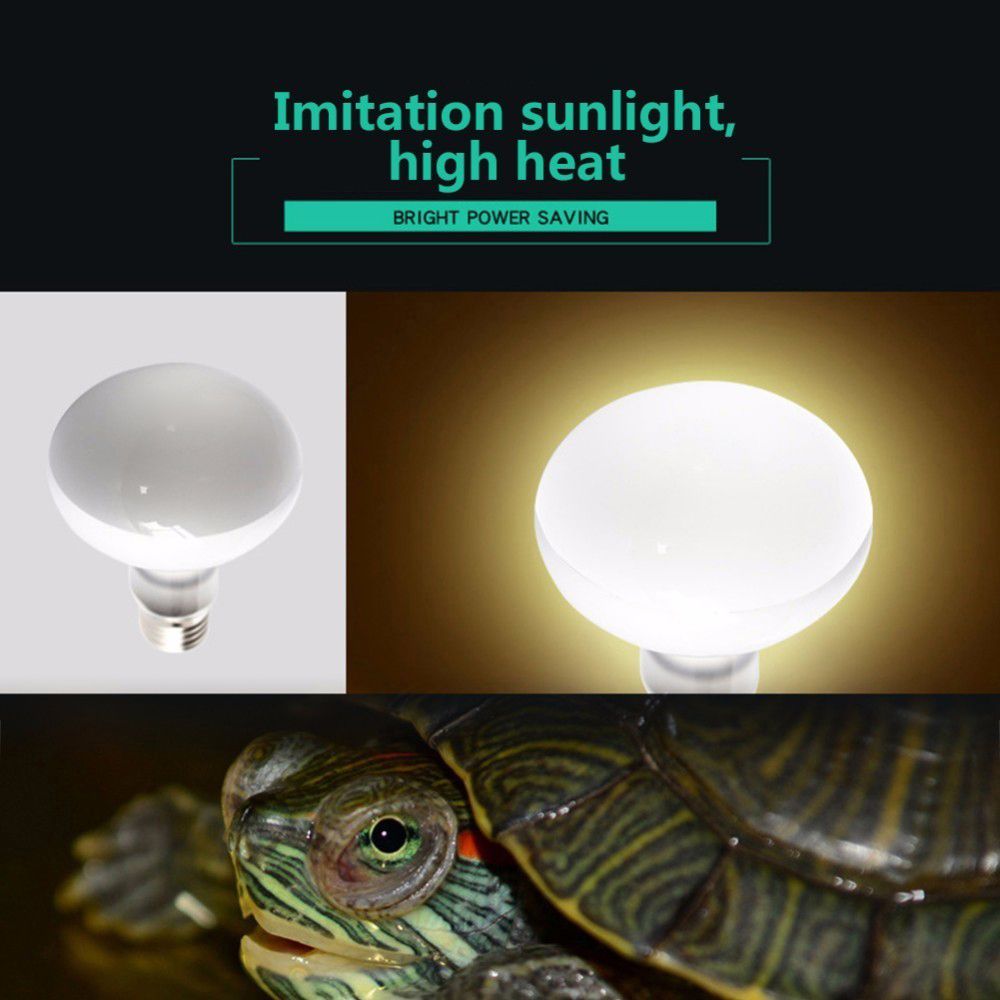 Basking Bulb Halogen - Contrôleur de température pour tortue, lampe