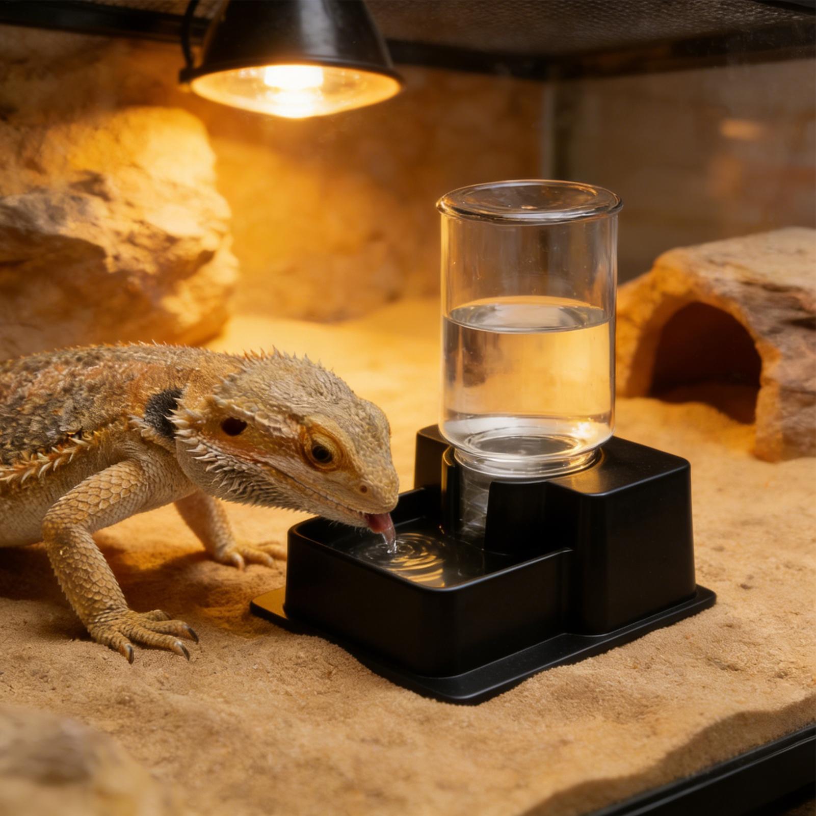 Water Dish Reptile - Fontaine à eau pour dragon barbu,