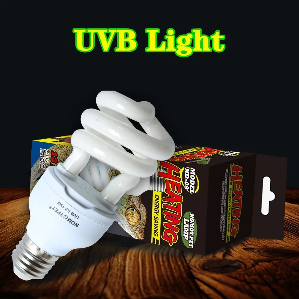 Calcium Powder Reptile - Reptile UVB 5.0/10.0 lampe ampoule désert