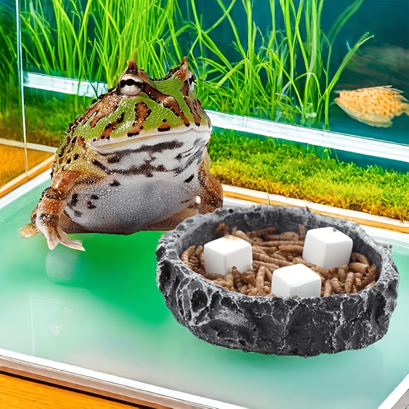 Calcium Powder Reptile - 6 blocs de calcium minéral pour
