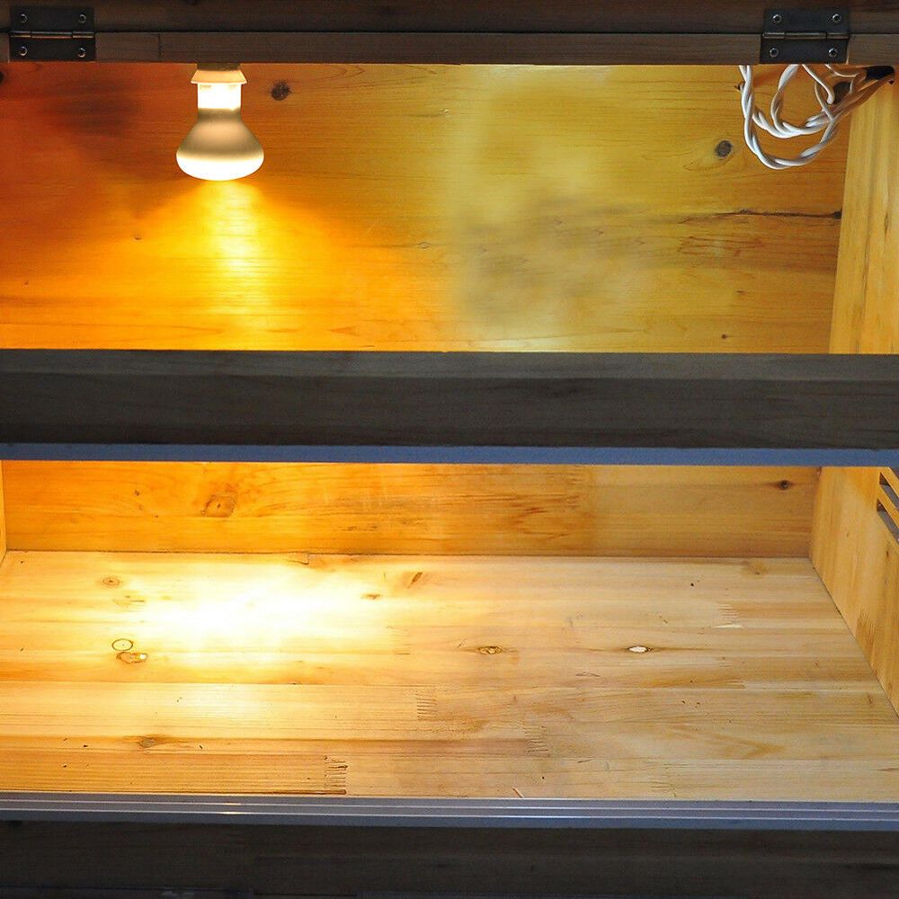 Basking Bulb Halogen - Contrôleur de température pour terrarium, lampe