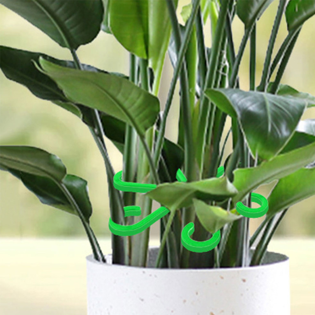 Vine Climbing Plastic - 12 supports de tiges de plantes