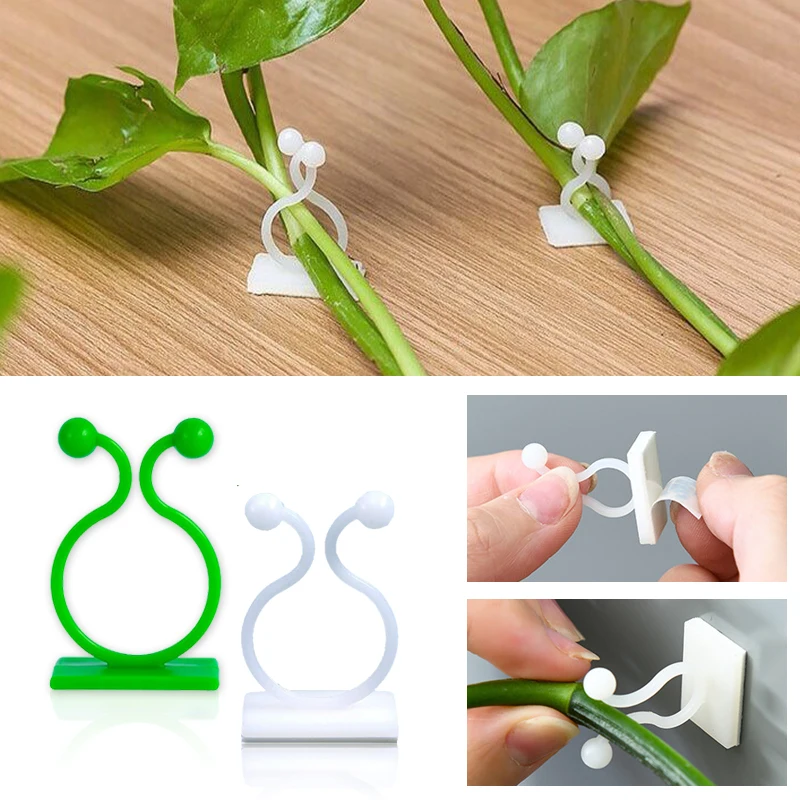 Vine Climbing Plastic - Mur d'escalade pour plantes, fixation à
