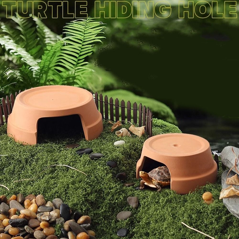 Boîte de cachette multifonctio - Hide Cave Ceramic avis et prix