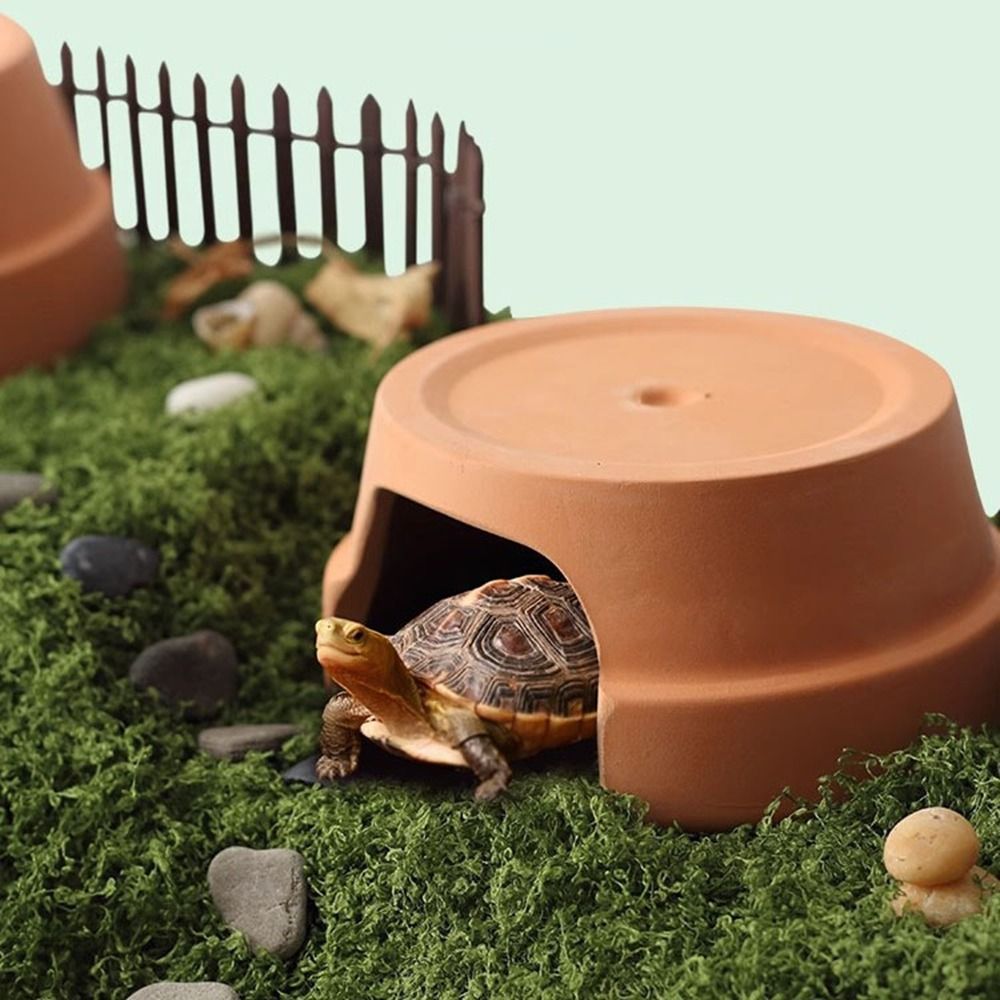 Boîte de cachette multifonctio - Hide Cave Ceramic avis et prix
