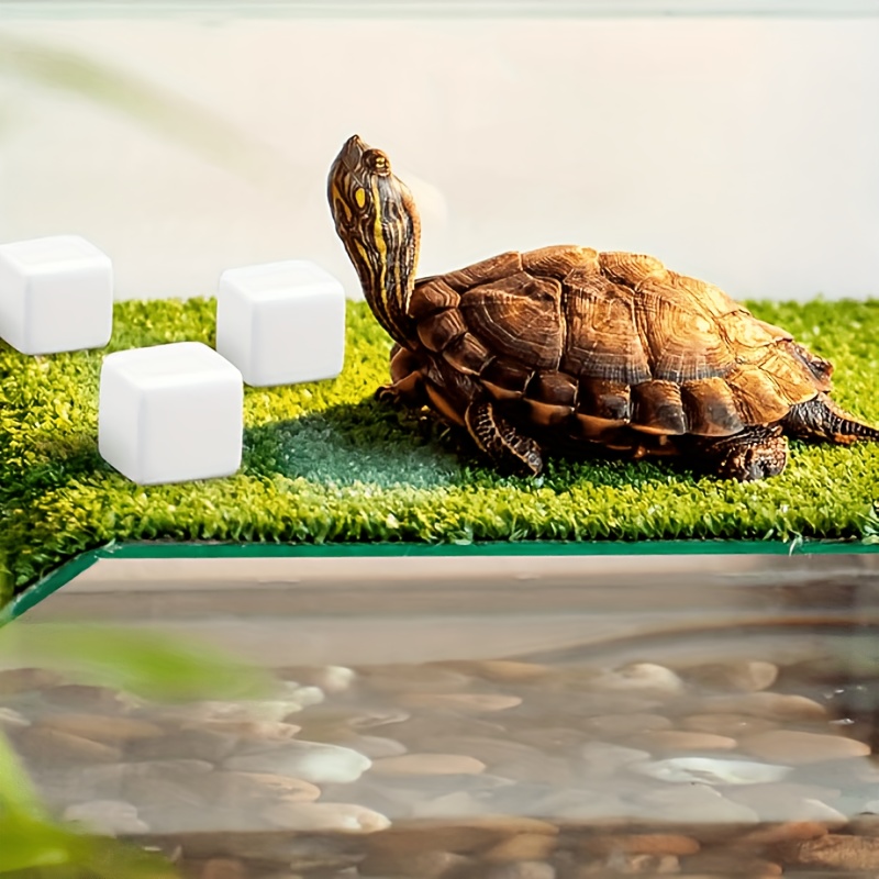 6 pièces de pierres de calcium - Calcium Powder Reptile avis et prix