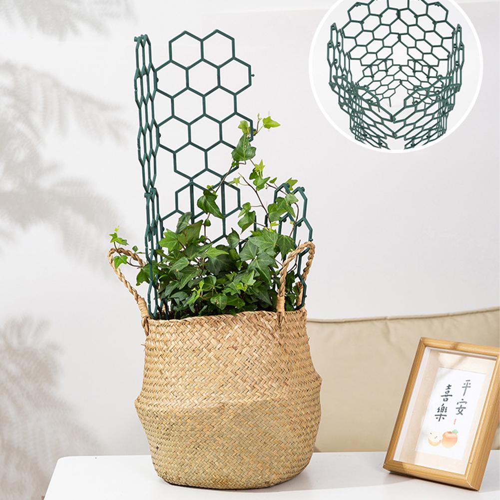 Supports de plantes en plastiq - Vine Climbing Plastic avis et prix