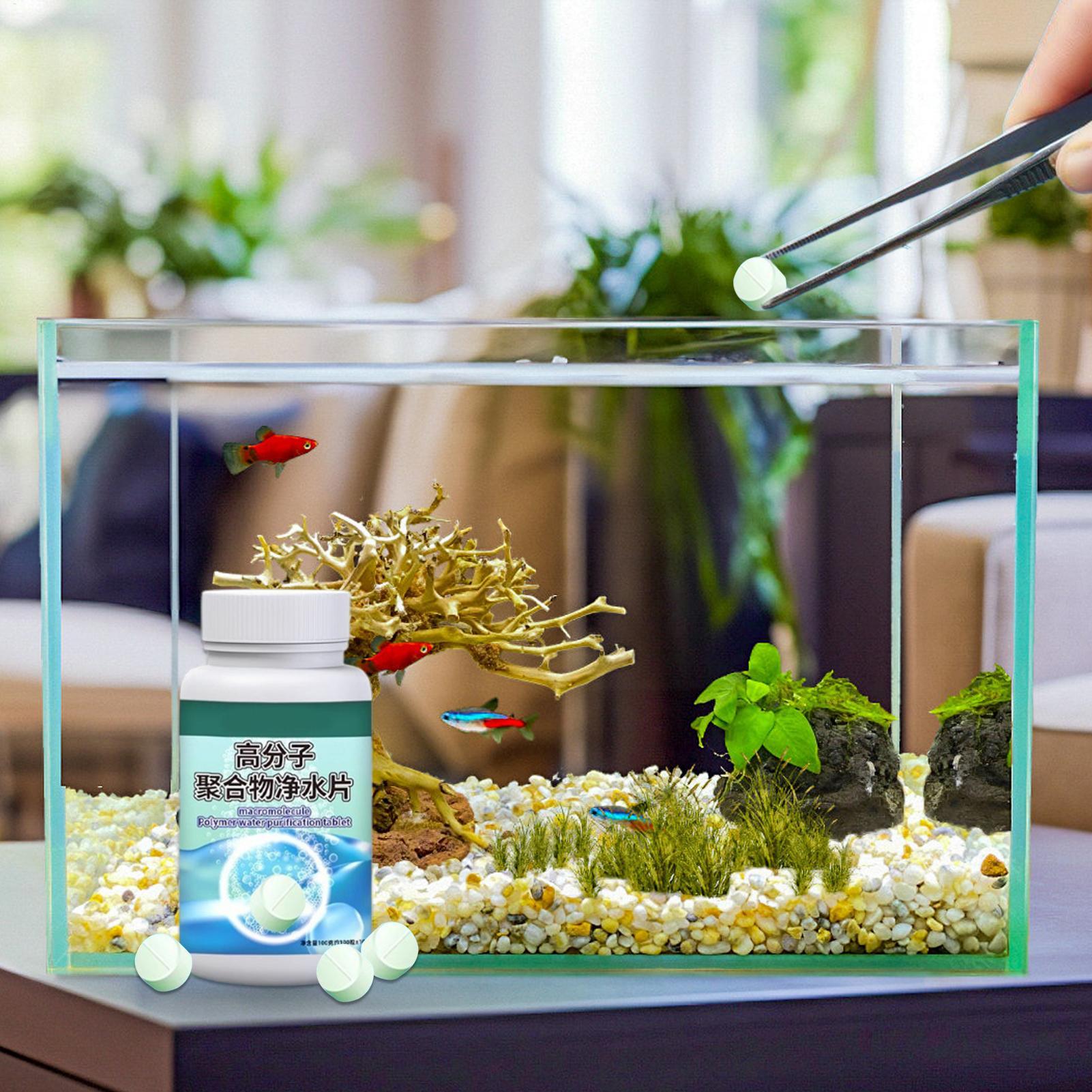 Tablettes purifiantes pour aqu - Water Dish Reptile avis et prix