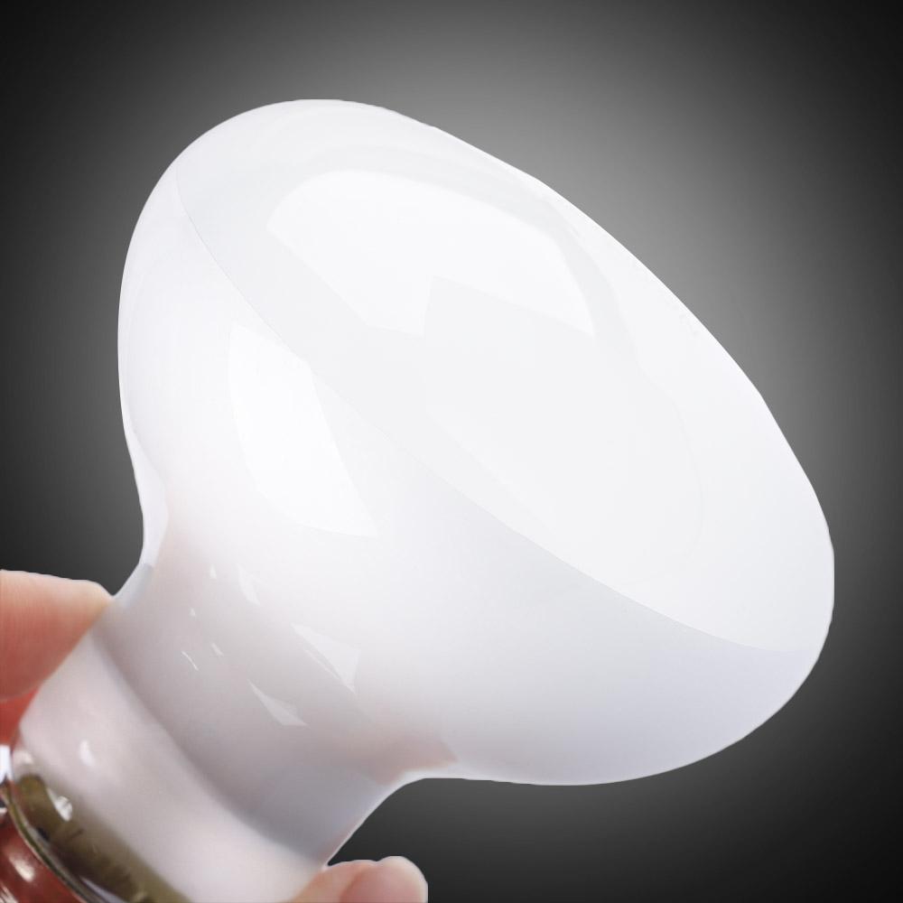 Contrôleur de température pour - Basking Bulb Halogen avis et prix