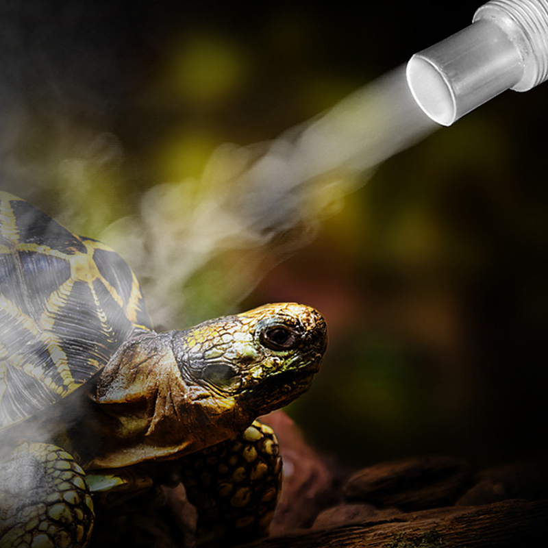 Humidificateur brumisateur pou - Terrarium Fogger Ultrasonic avis et prix