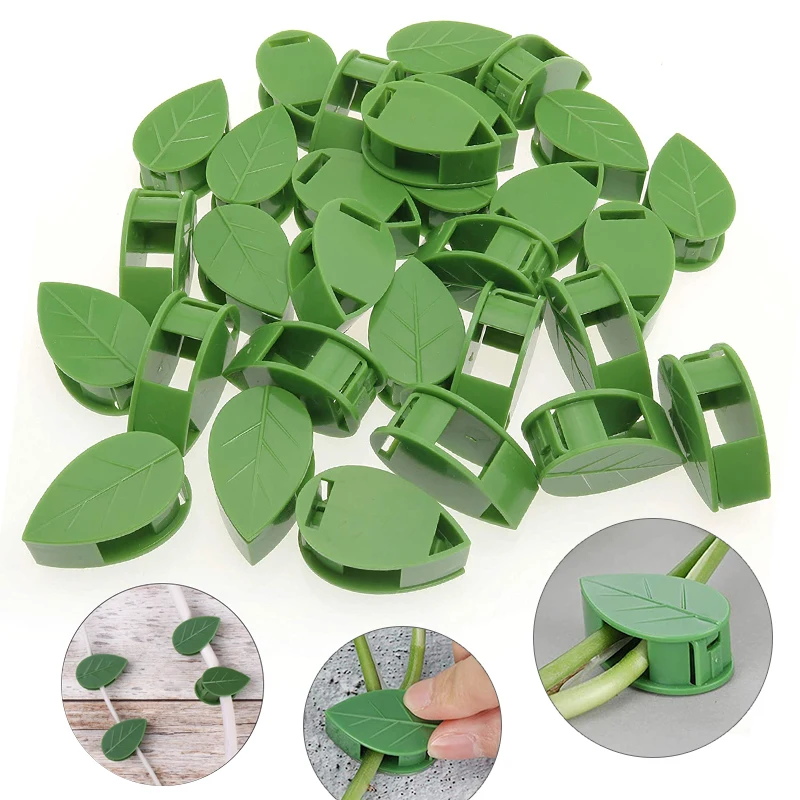 Dispositif d'escalade mural in - Vine Climbing Plastic avis et prix