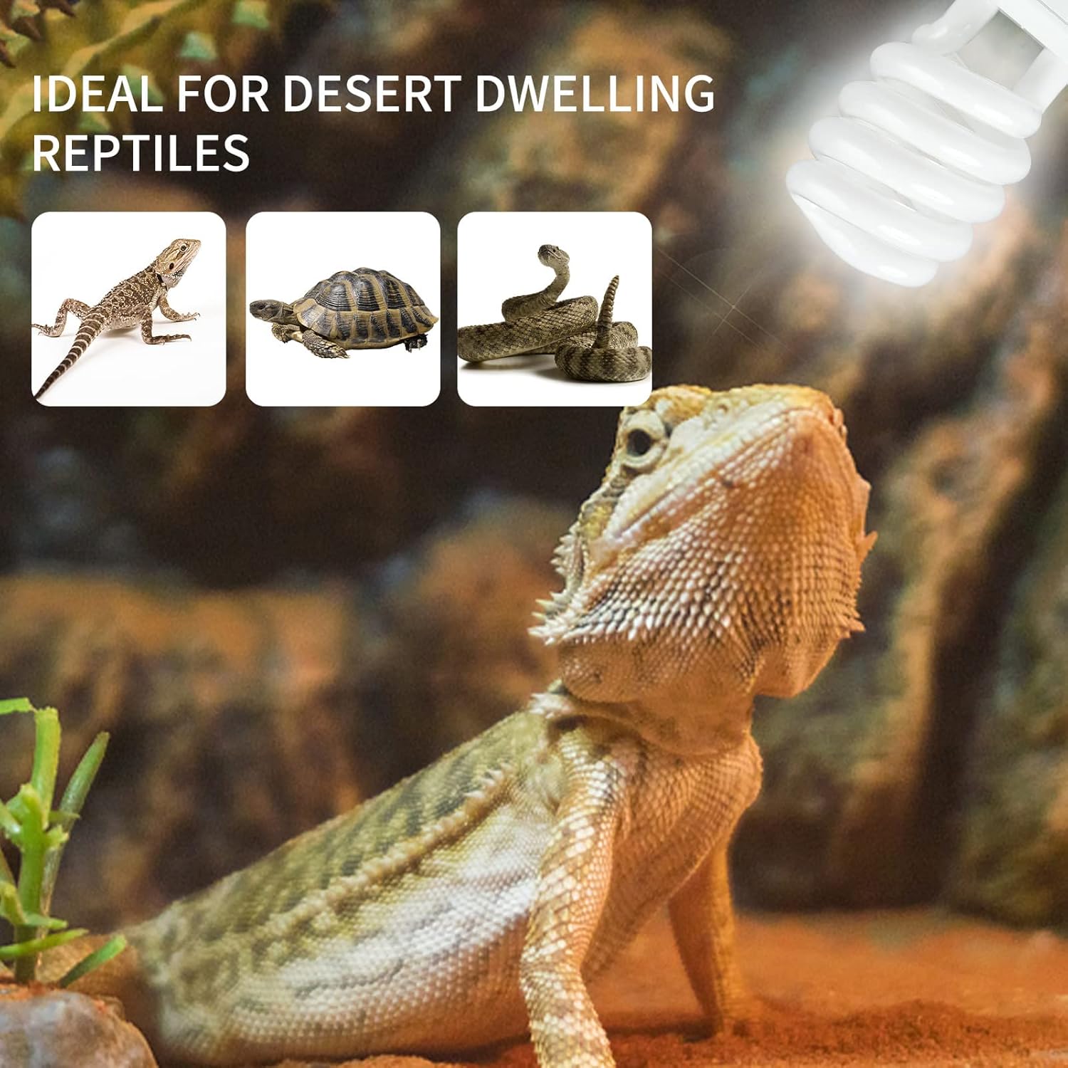 Lampe chauffante UVB 5.0 10.0  - Calcium Powder Reptile avis et prix