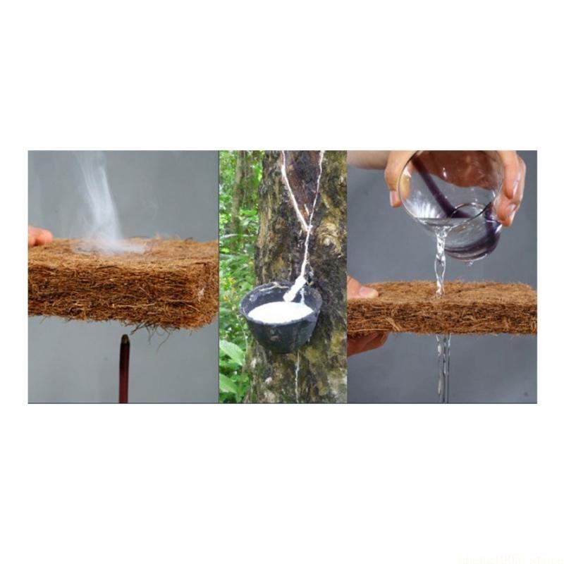 QX2E – tapis literie pour Rept - Substrate Coconut Fiber avis et prix