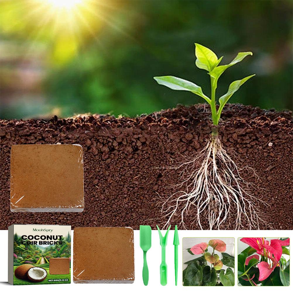 Sol d'ampli de reptile de coco - Substrate Coconut Fiber avis et prix