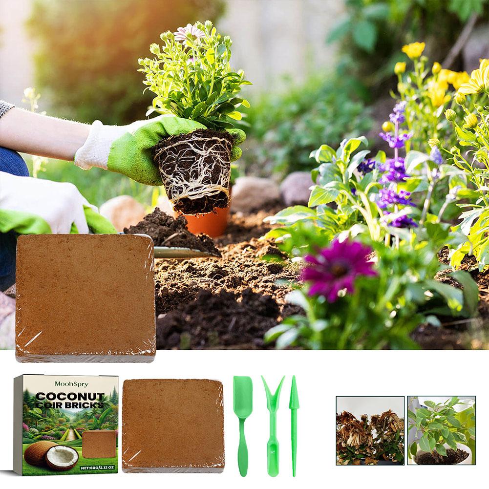 Sol d'ampli de reptile de coco - Substrate Coconut Fiber avis et prix