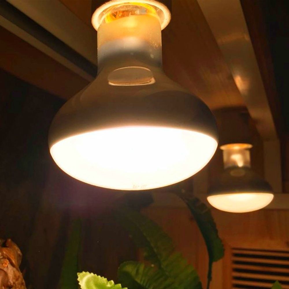 Contrôleur de température pour - Basking Bulb Halogen avis et prix