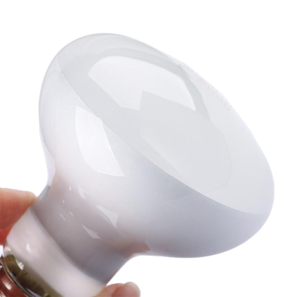Contrôleur de température pour - Basking Bulb Halogen avis et prix