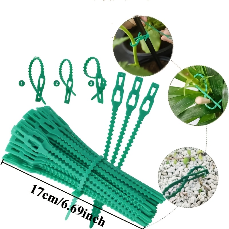 100 attaches pour plantes réut - Vine Climbing Plastic avis et prix