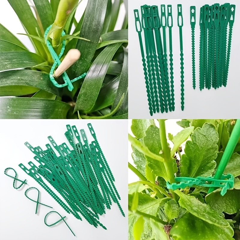 100 attaches pour plantes réut - Vine Climbing Plastic avis et prix