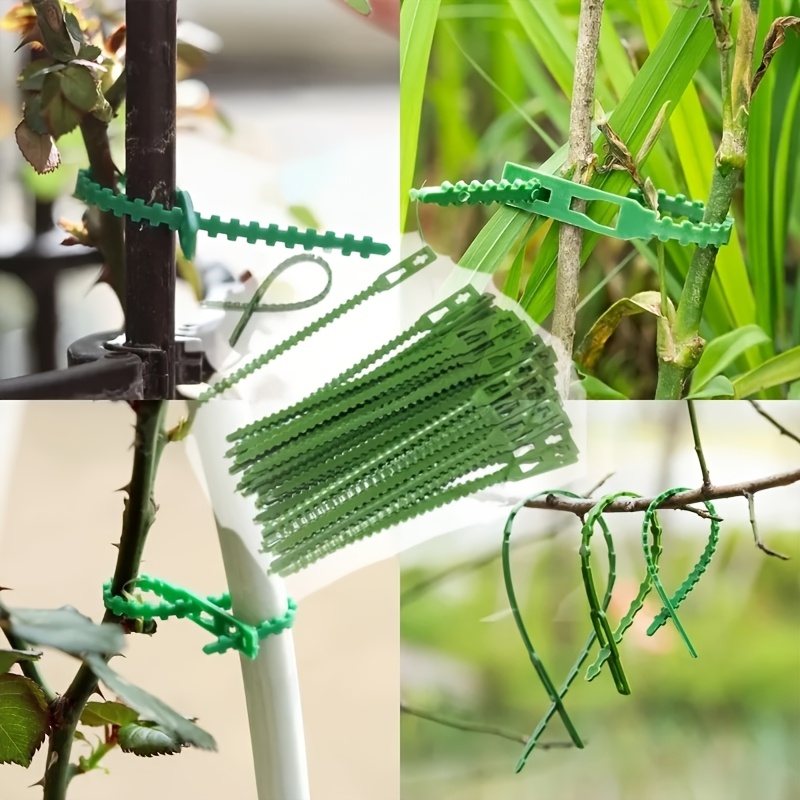 100 attaches pour plantes réut - Vine Climbing Plastic avis et prix