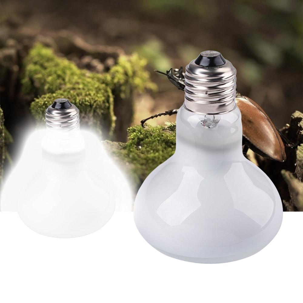 Lampe chauffante pour amphibie - Basking Bulb Halogen avis et prix