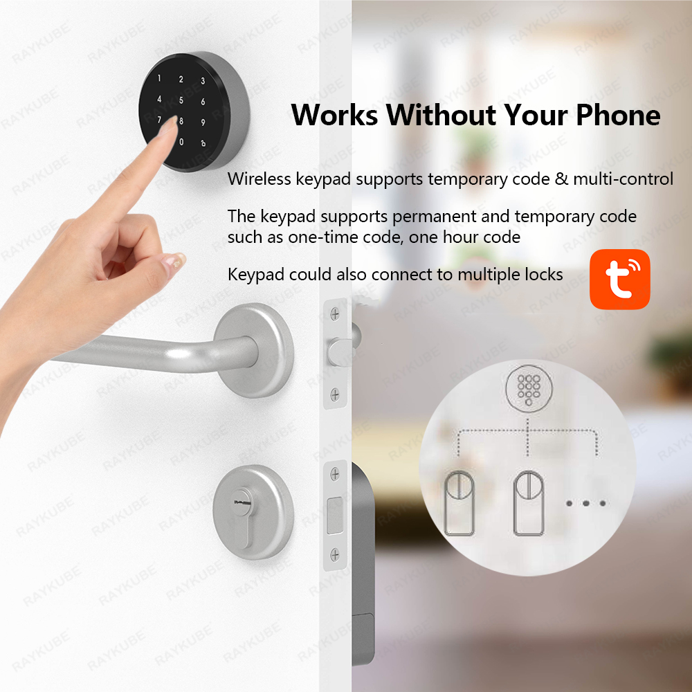 RAYKUBE A1 Pro Tuya BEL ensemb - Glass Door Hinge avis et prix