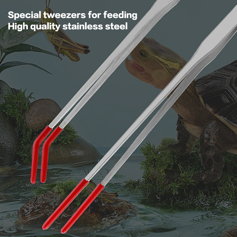 Pinces d'alimentation pour rep - Feeding Tong Stainless avis et prix