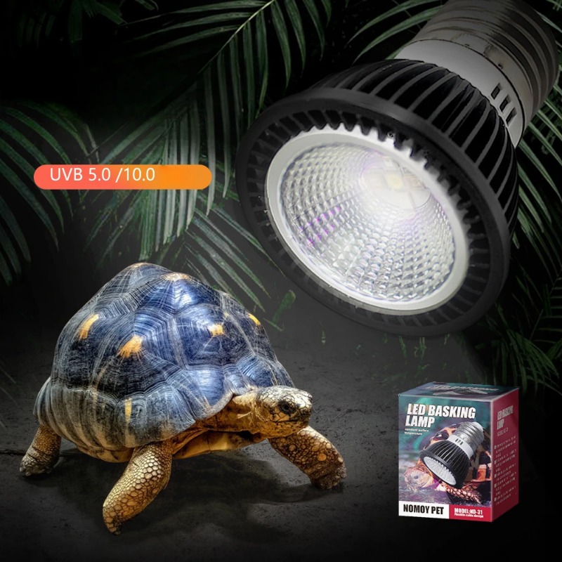 NOMOY Reptile 110/220V UVB + U - Calcium Powder Reptile avis et prix