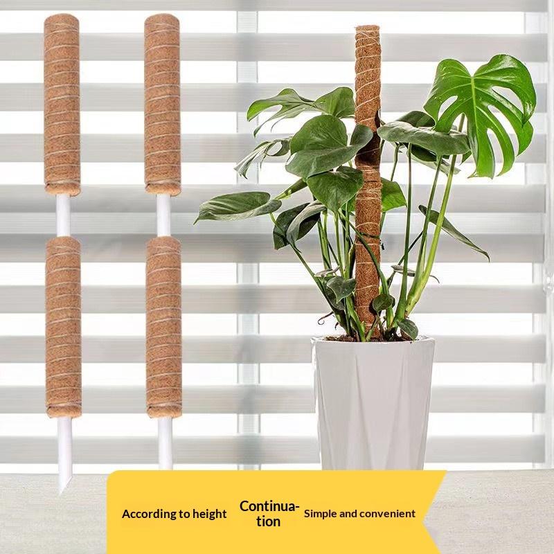 1 pièce de support de traction - Vine Climbing Plastic avis et prix
