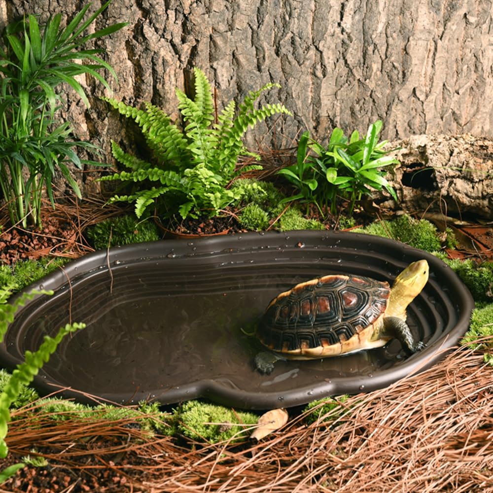 Plat de bain pour reptiles, am - Water Dish Reptile avis et prix
