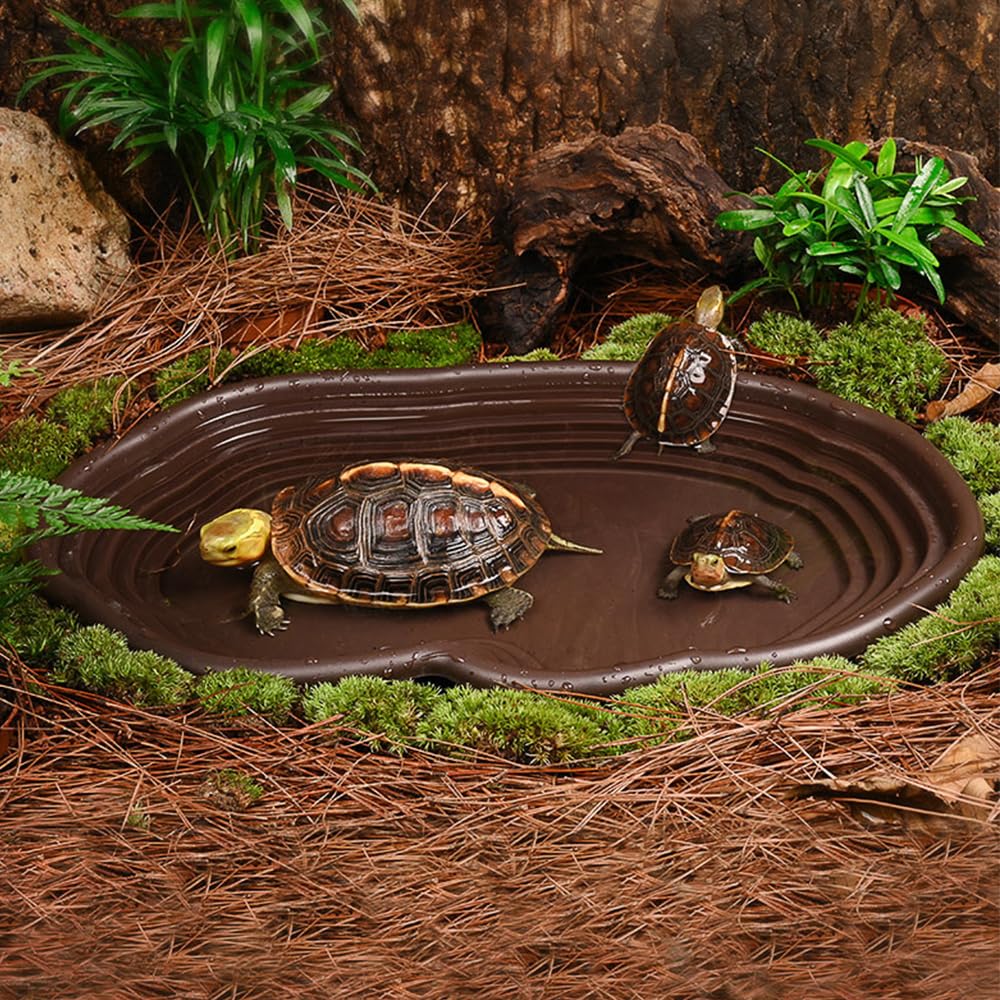 Plat de bain pour reptiles, am - Water Dish Reptile avis et prix
