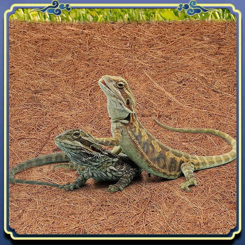 Dernier tapis en Fiber de noix - Substrate Coconut Fiber avis et prix