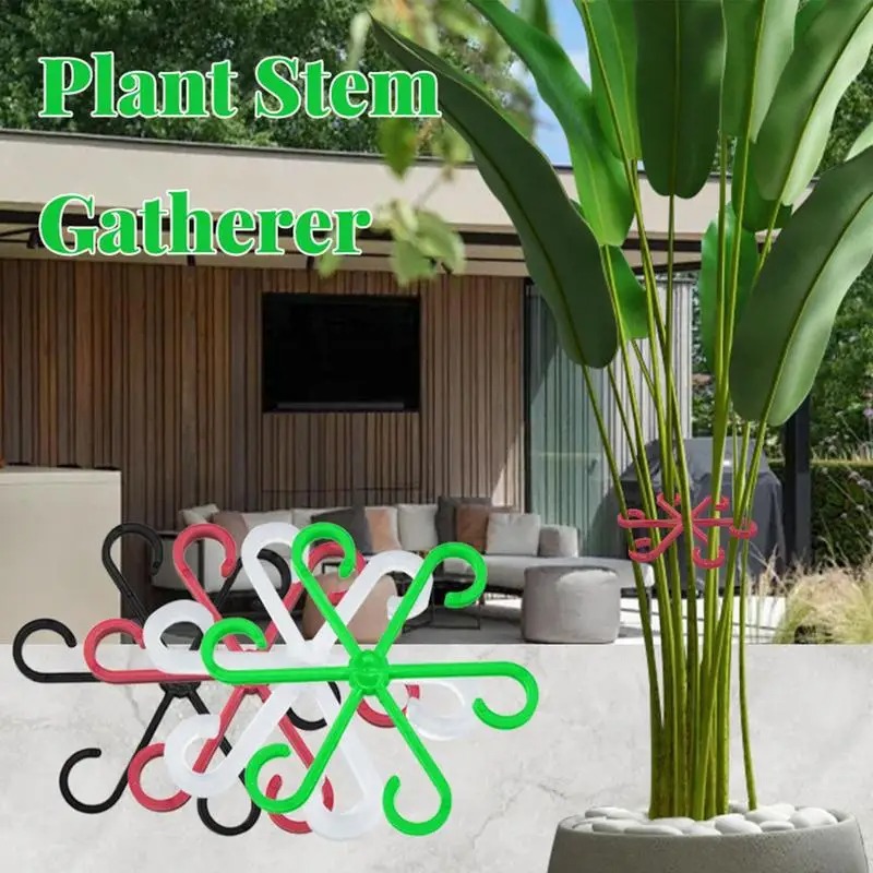 Support de tige de plante, pin - Vine Climbing Plastic avis et prix