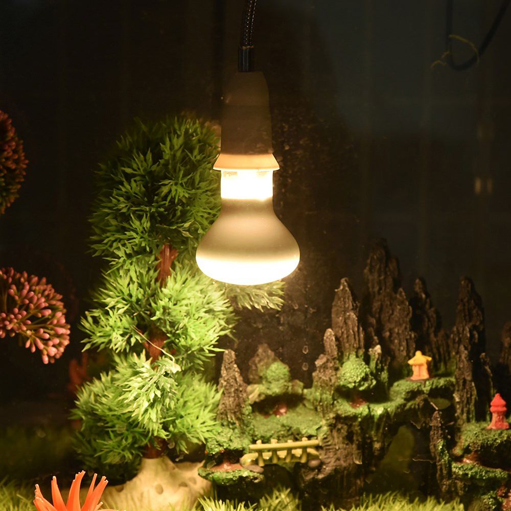 Contrôleur de température tort - Basking Bulb Halogen avis et prix