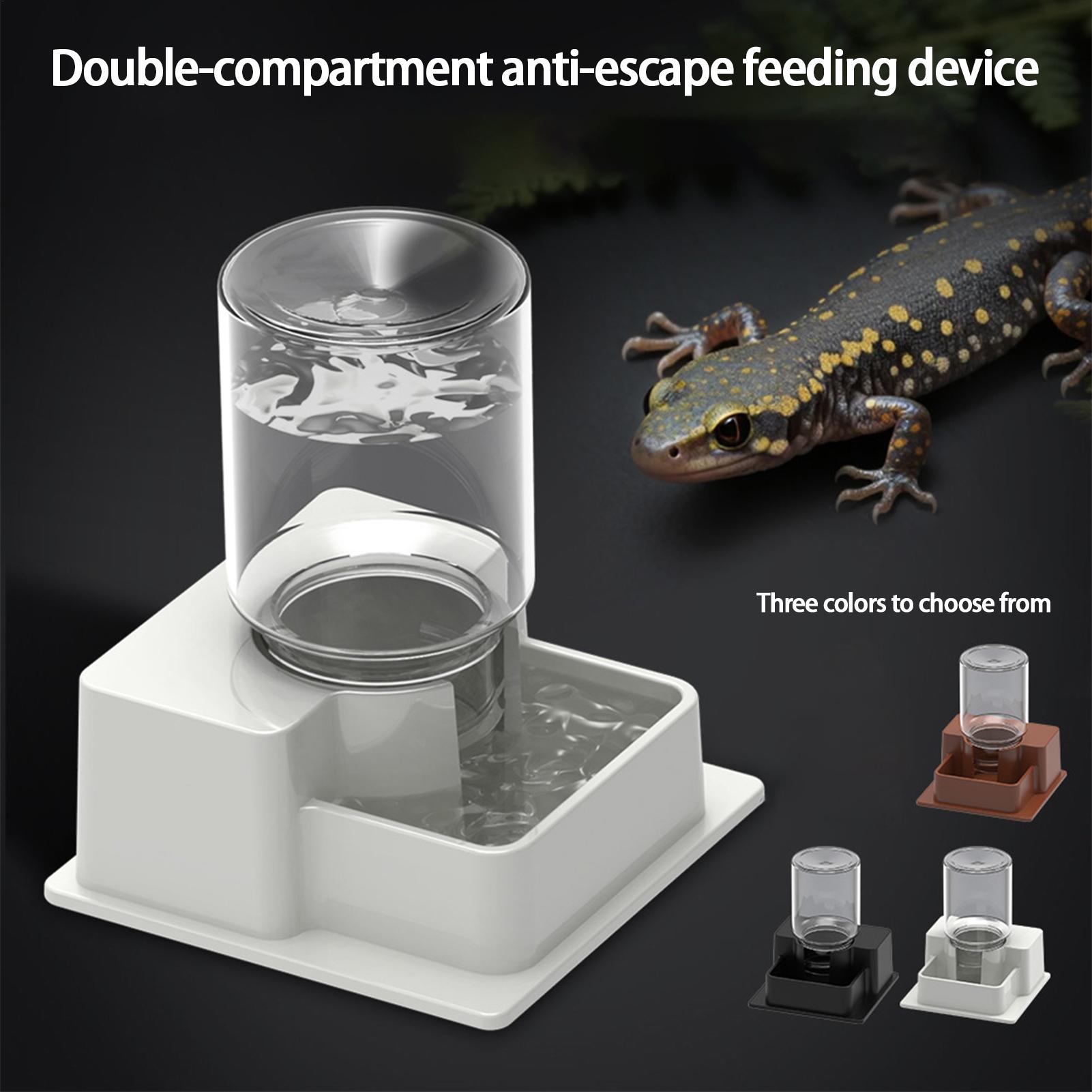 Abreuvoir automatique pour rep - Water Dish Reptile avis et prix