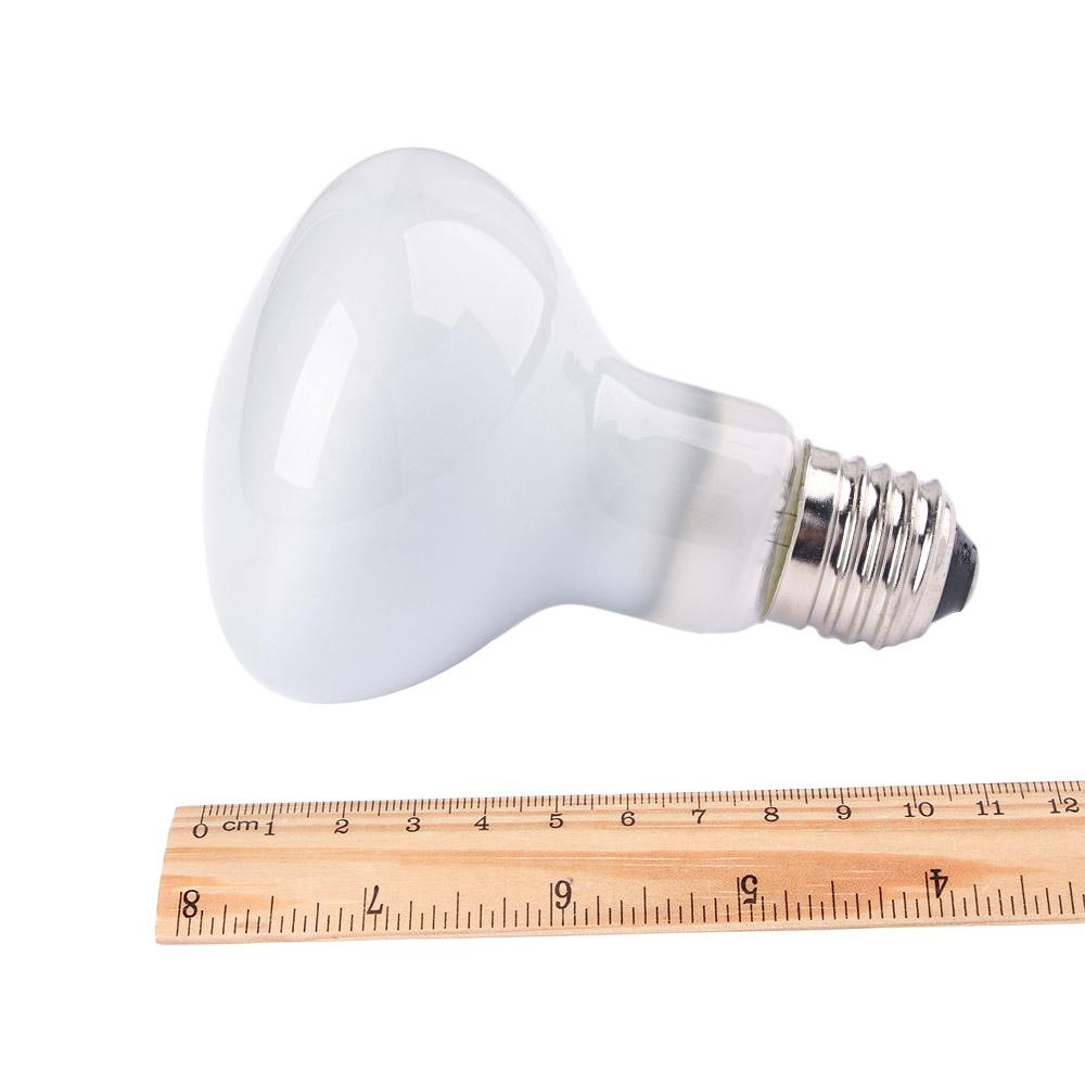 Contrôleur de température pour - Basking Bulb Halogen avis et prix