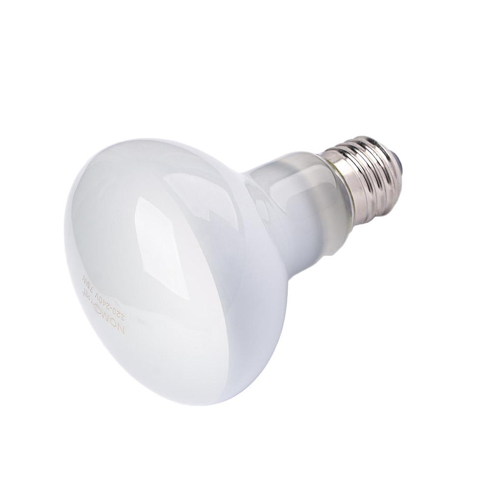 Contrôleur de température pour - Basking Bulb Halogen avis et prix