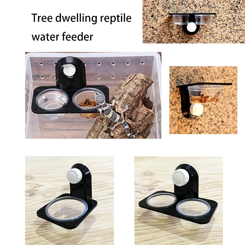 Filles d'alimentation en terra - Water Dish Reptile avis et prix