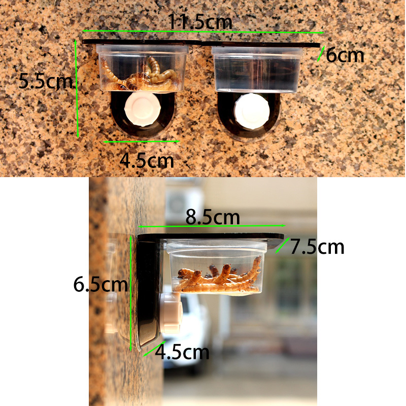 Filles d'alimentation en terra - Water Dish Reptile avis et prix