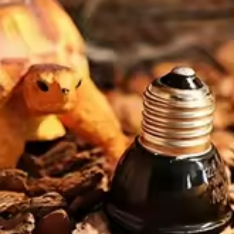 Émetteur de chaleur en céramiq - Ceramic Heat Emitter avis et prix