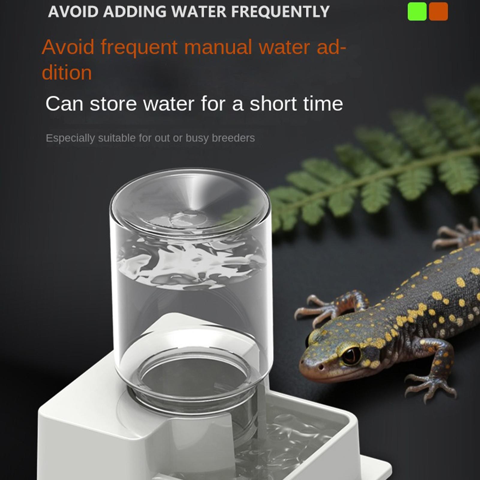 Fontaine à eau automatique pou - Water Dish Reptile avis et prix