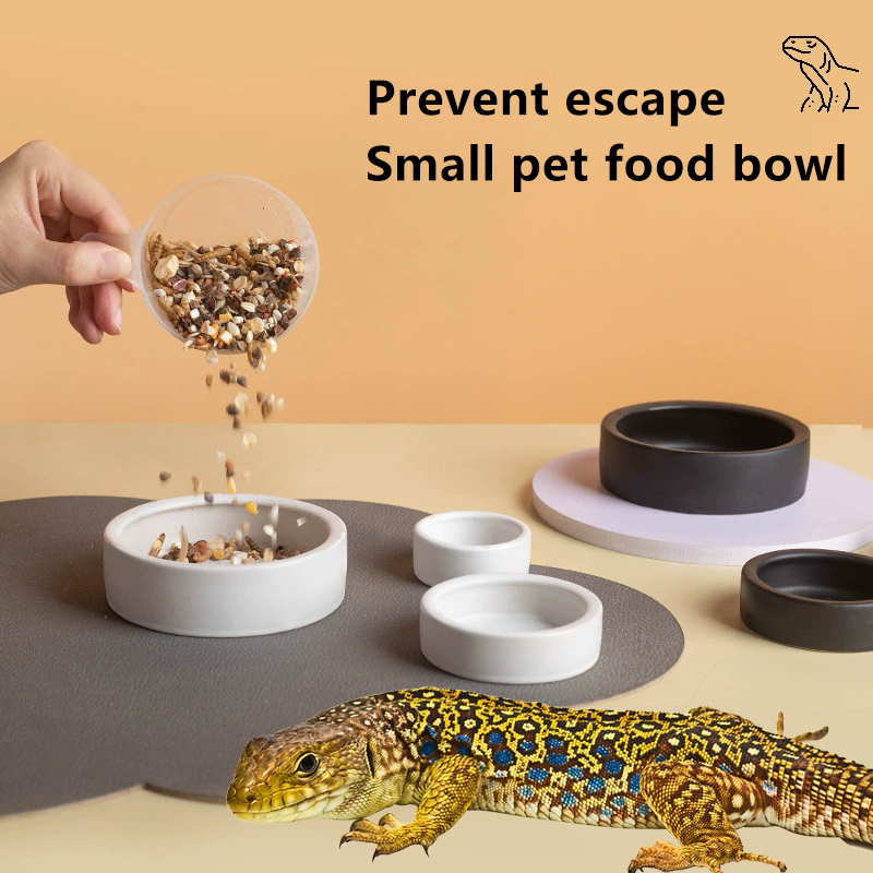 NOUVEAU! Bol à nourriture pour - Water Dish Reptile avis et prix
