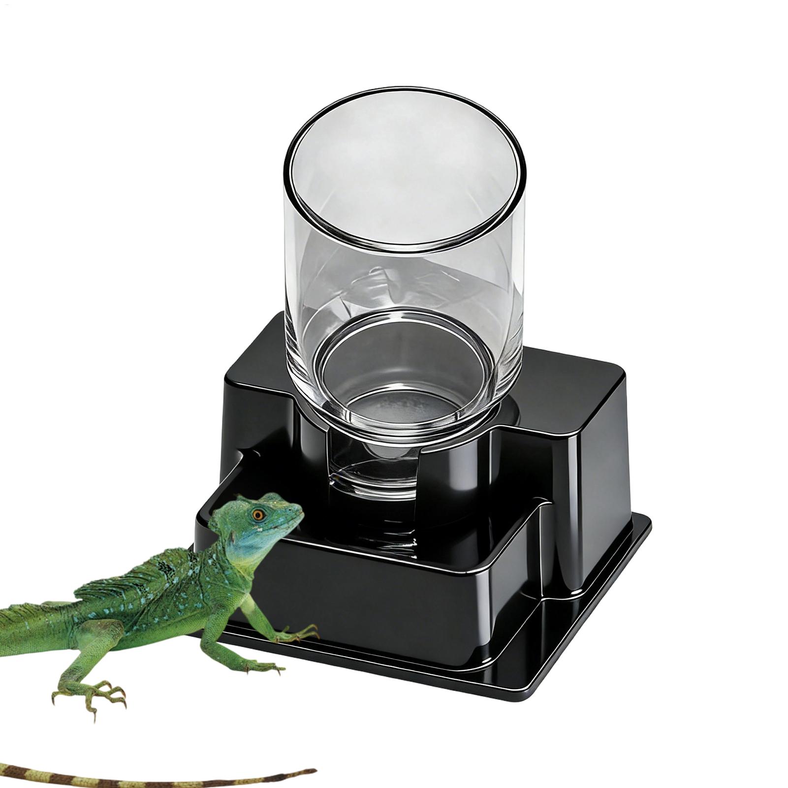Fontaine à eau pour dragon bar - Water Dish Reptile avis et prix