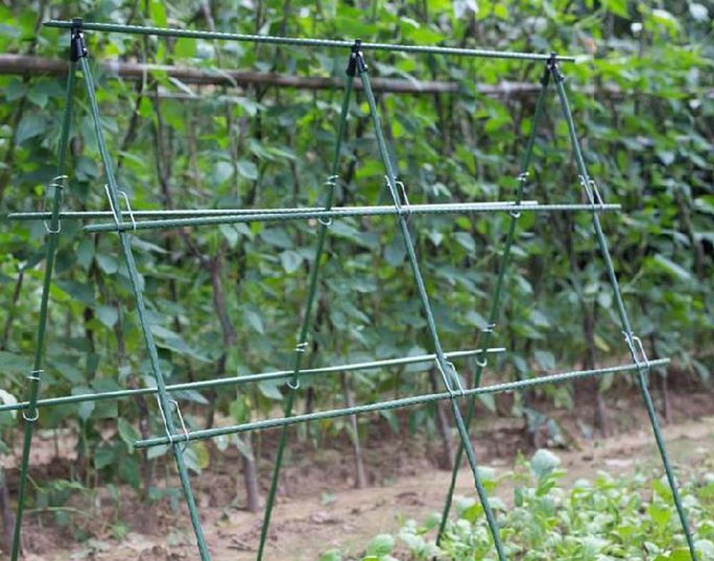 Treillis de jardin pour plante - Vine Climbing Plastic avis et prix