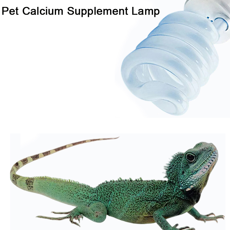 E27 13 W/26 W Reptile Uvb lamp - Calcium Powder Reptile avis et prix