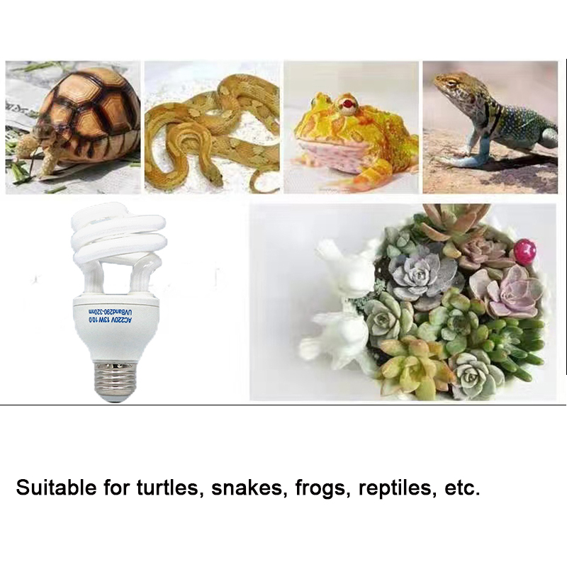 E27 13 W/26 W Reptile Uvb lamp - Calcium Powder Reptile avis et prix