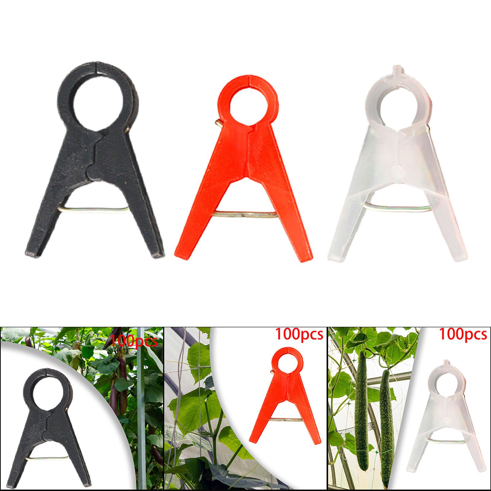 Clips de Support pour Plantes  - Vine Climbing Plastic avis et prix
